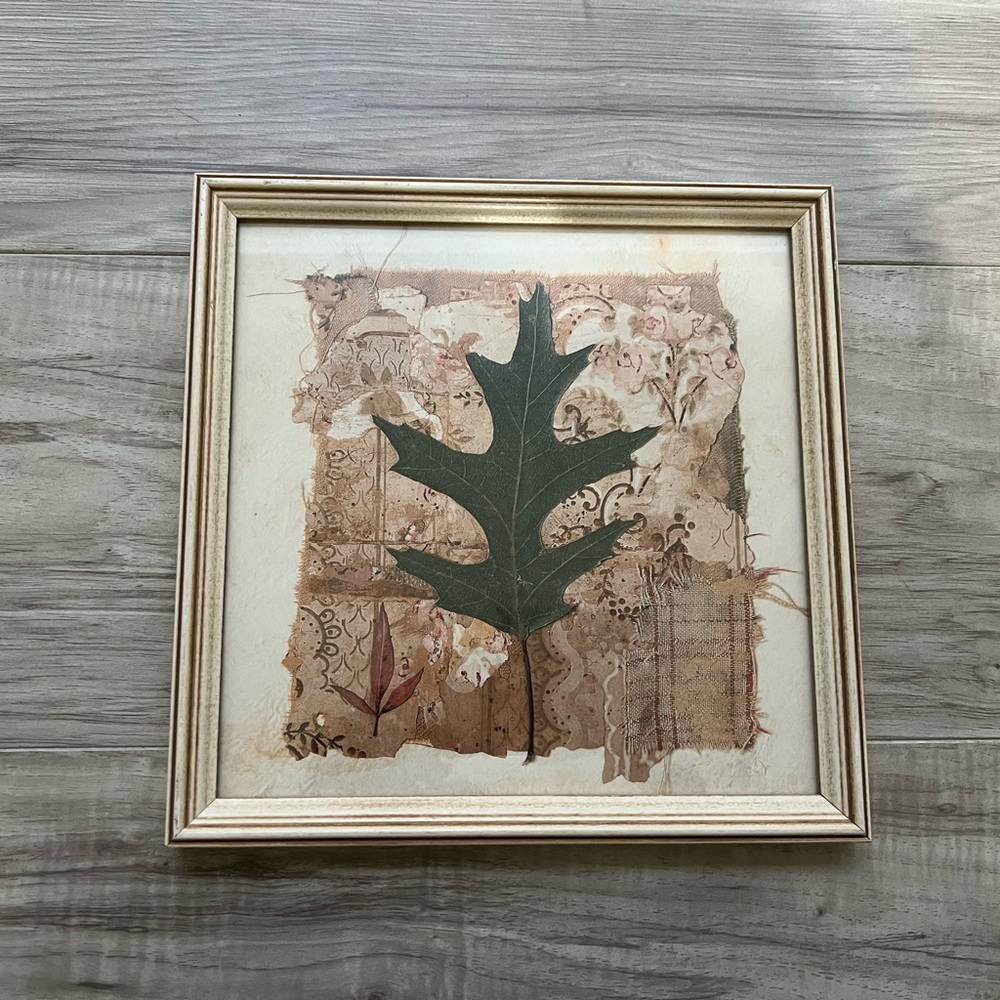 Framed Botanical Art with Green Leaf